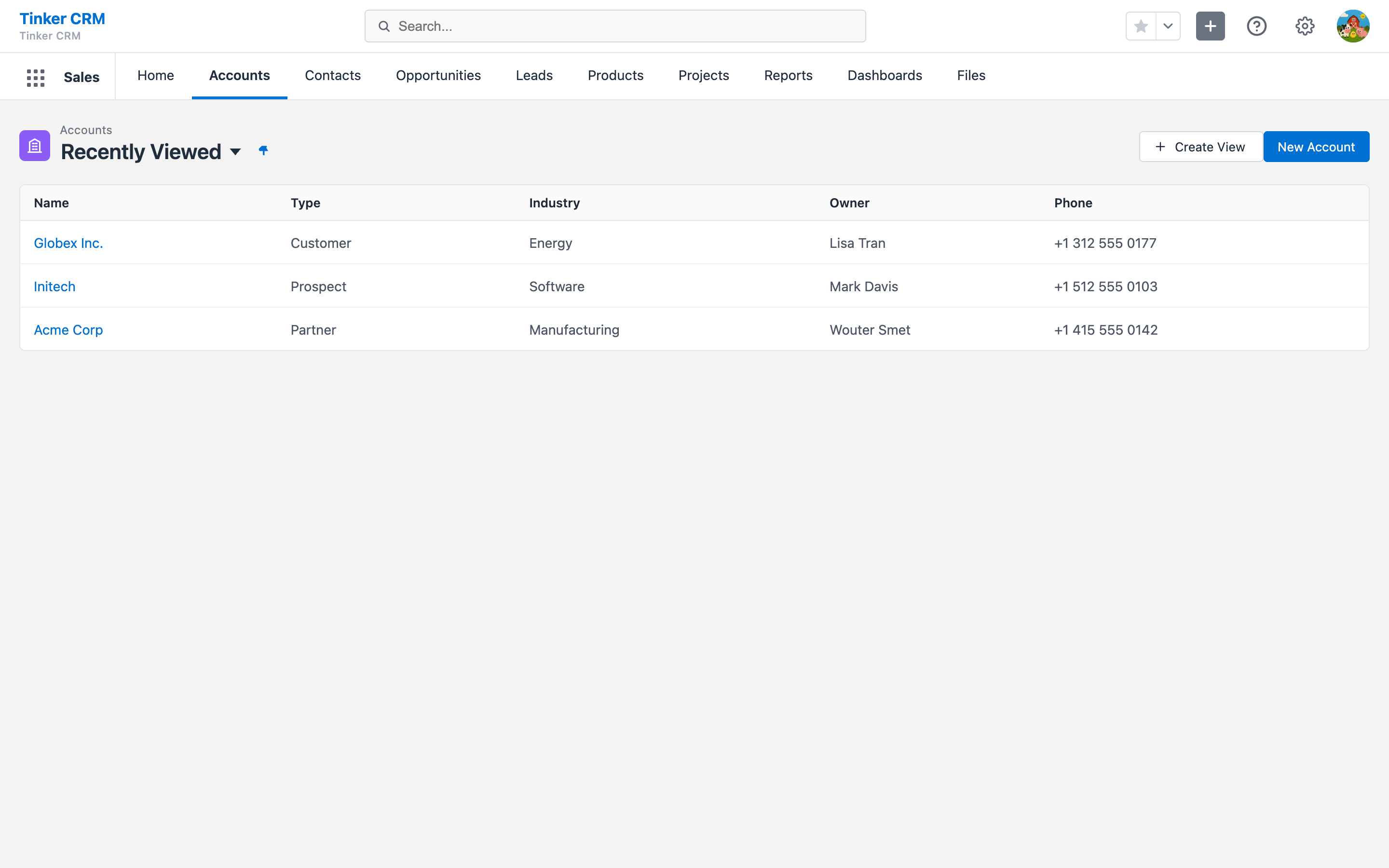 Accounts list view with a 'Recently Viewed' Salesforce-style list and Create View / New Account actions